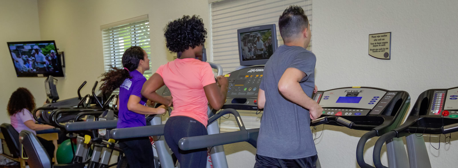 Male and females running on treadmills